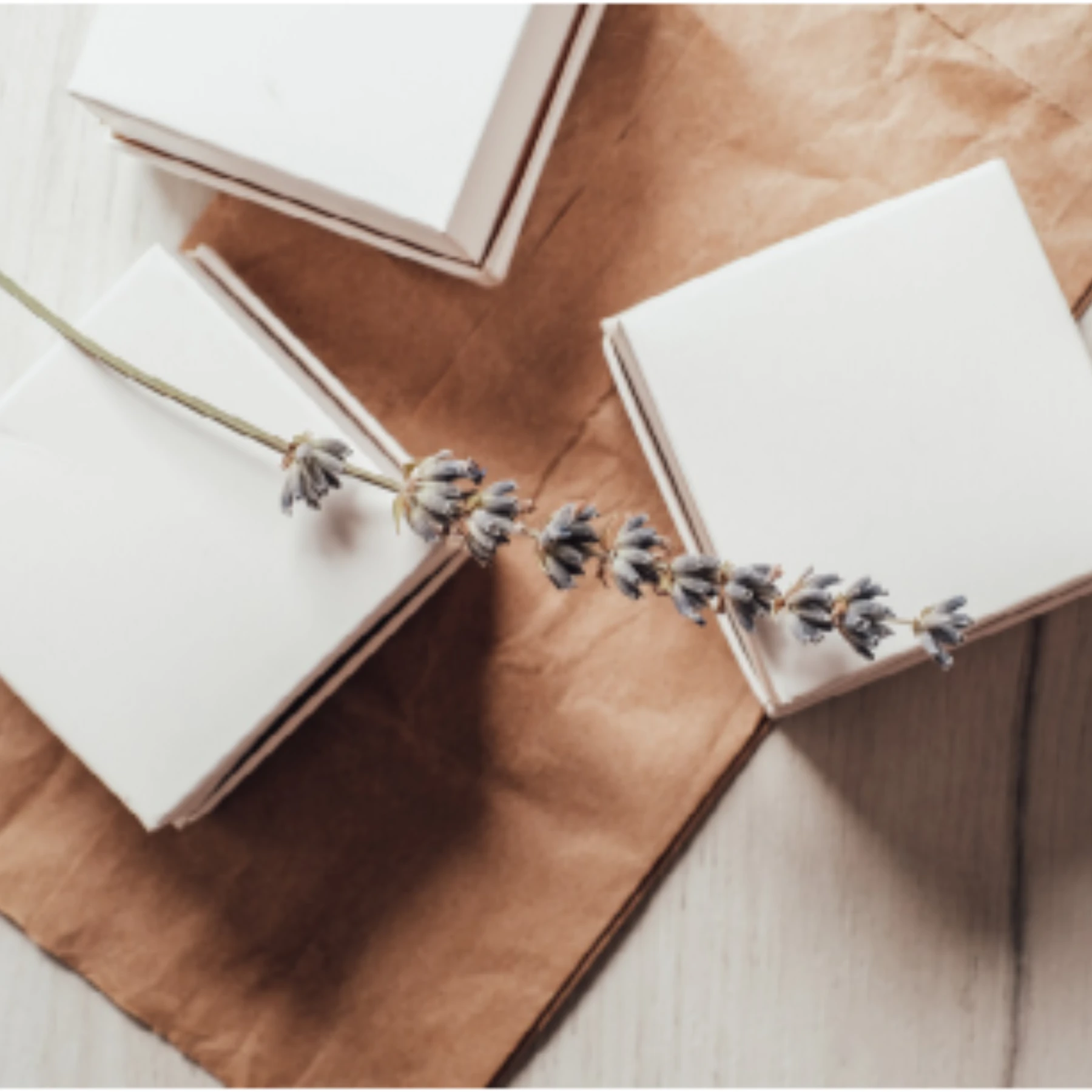Open journals with a lavender stem laid across the pages